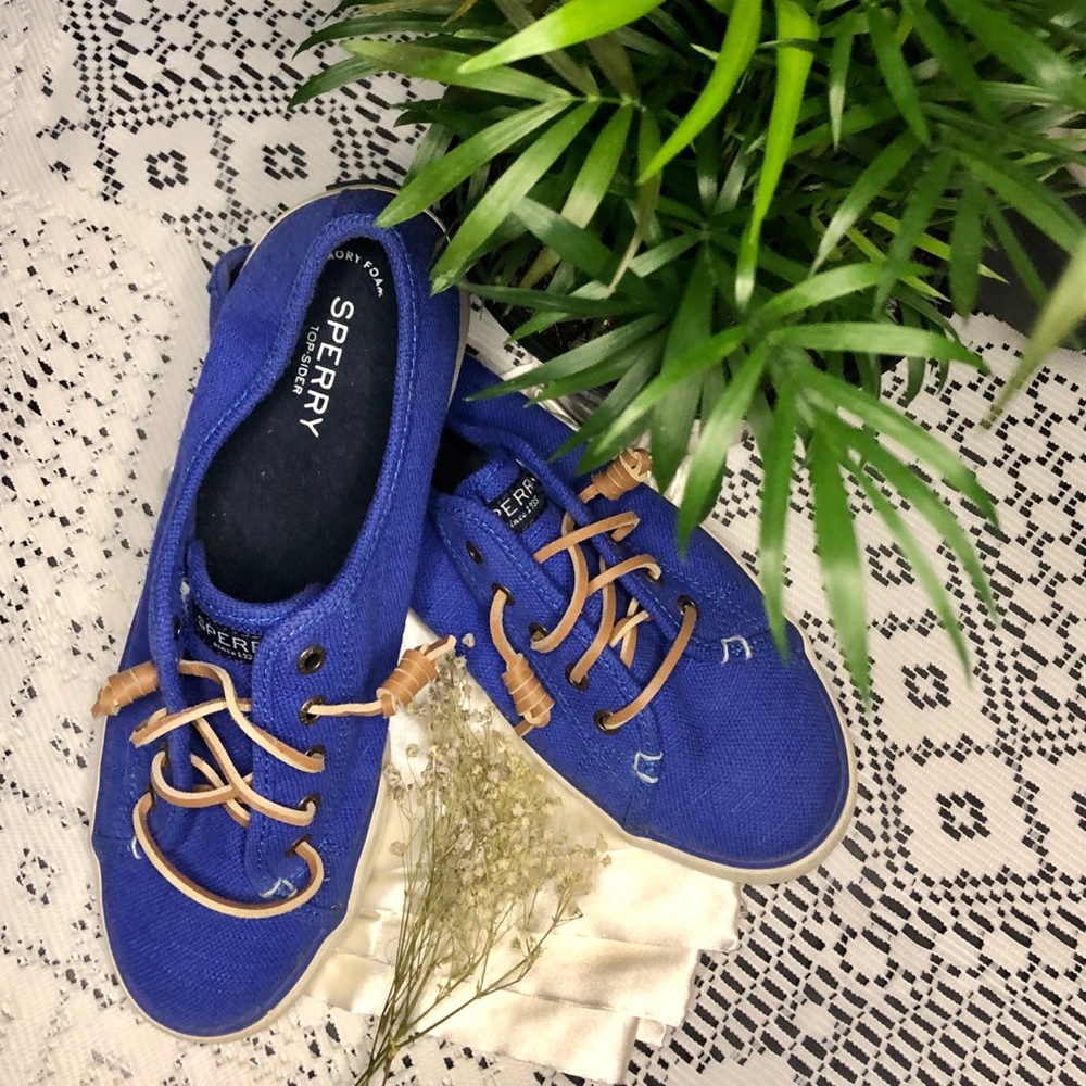 brand new royal blue cotton sperrys